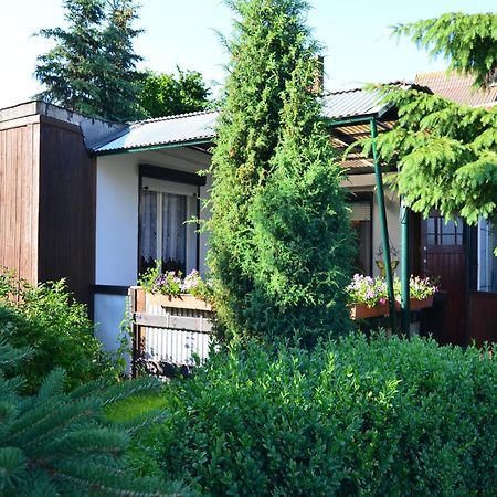 Holiday Home In Cattenstedt Harz With Garden Exteriör bild