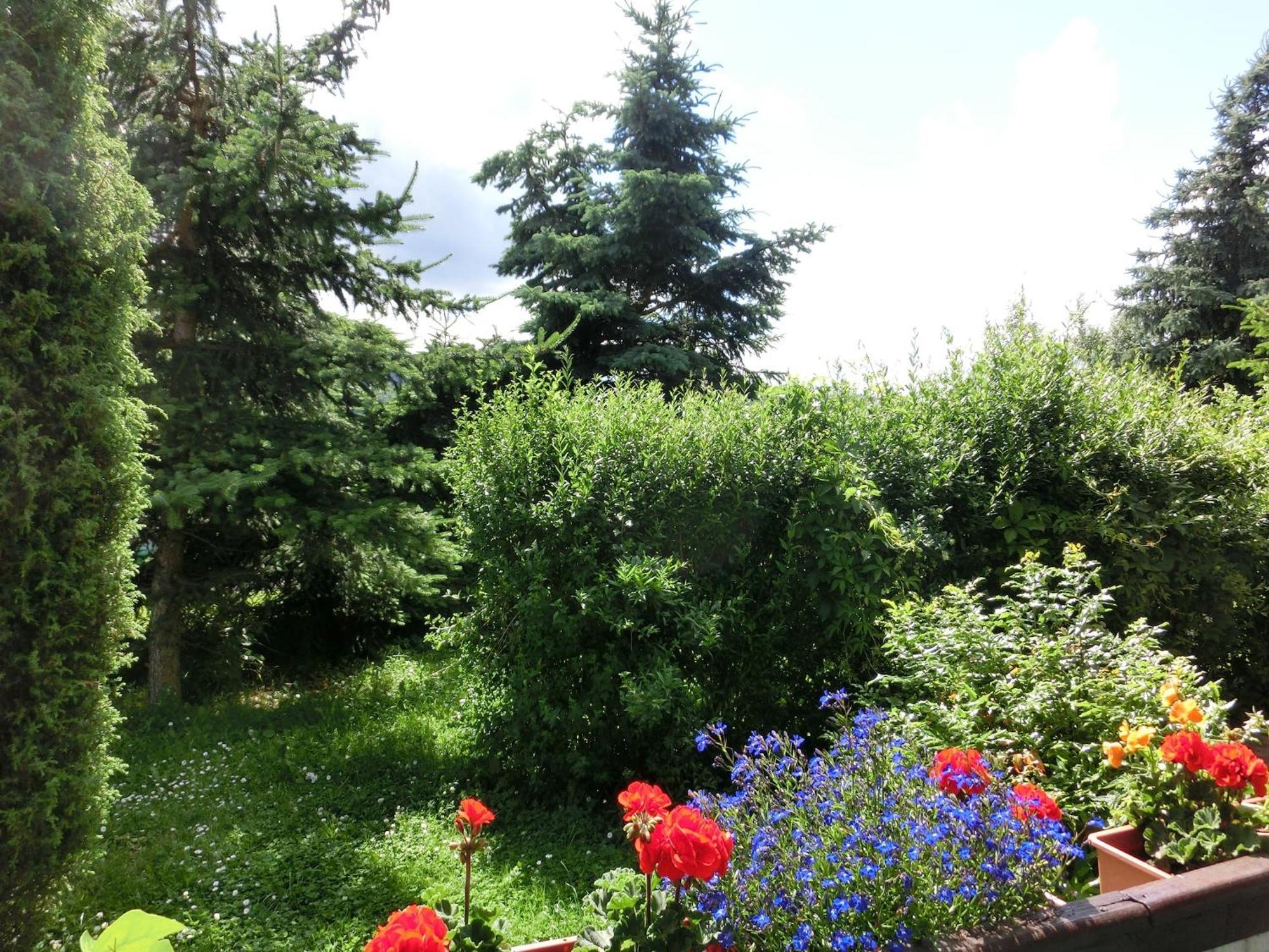Holiday Home In Cattenstedt Harz With Garden Exteriör bild